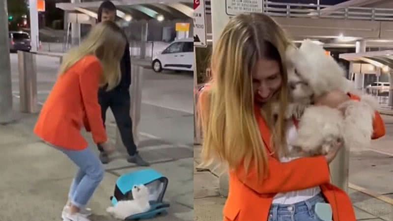 Reprodução / TikTok