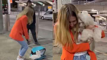 Reprodução / TikTok