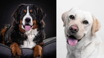 Ilustrativa / FreePik