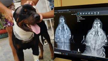 Reprodução/Prefeitura de João Pessoa