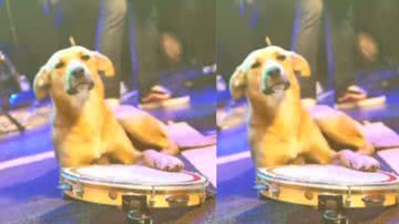 Reprodução / Instagram