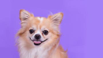 Ilustrativa / FreePik