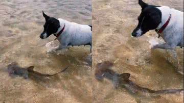 Reprodução / TikTok