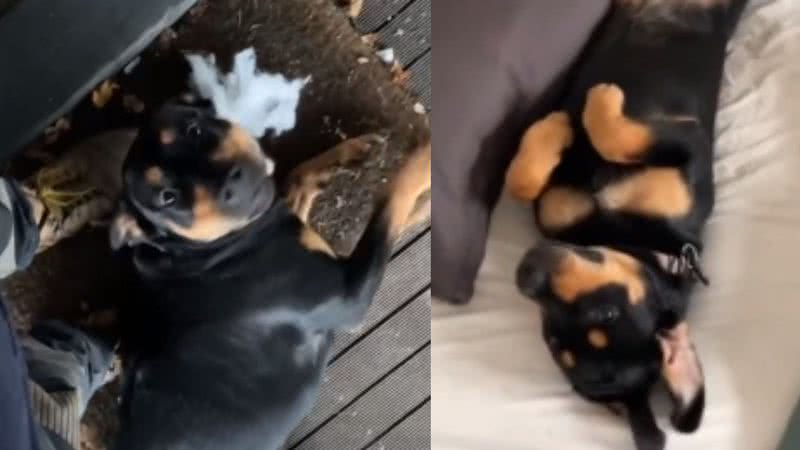 Reprodução / TikTok