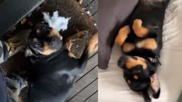 Reprodução / TikTok