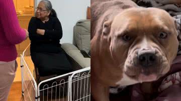 Reprodução/TikTok @julianecarlis