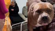 Reprodução/TikTok @julianecarlis