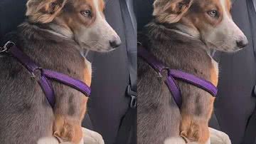 Reprodução / TikTok