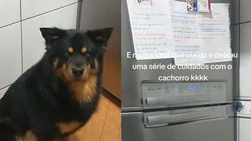 Reprodução / TikTok