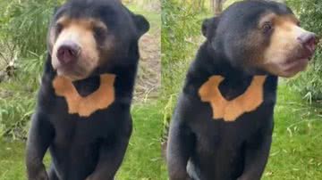 Reprodução/Instagram