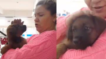 Reprodução / Tik Tok