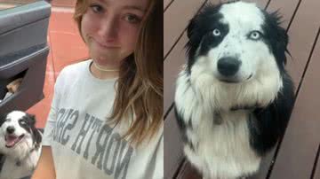 Reprodução / TikTok