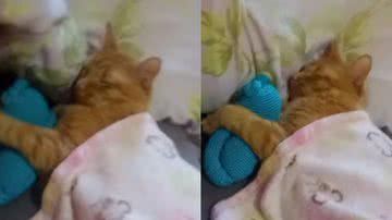 Reprodução / Instagram