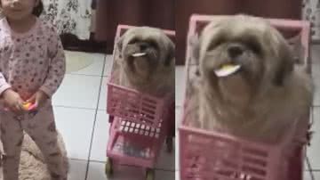 Reprodução / TikTok