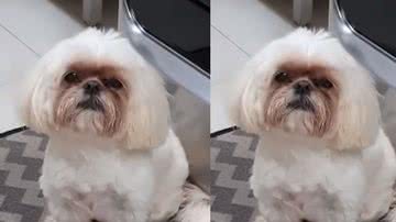 Reprodução / TikTok