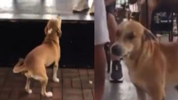 Reprodução / TikTok