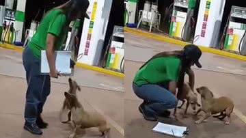 Reprodução / TikTok