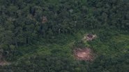 Divulgação Agencia Brasil