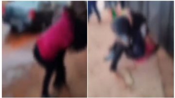 Reprodução do Twitter