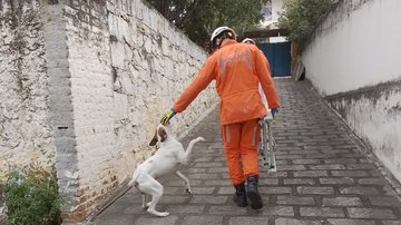 Divulgação Ascom Corpo De Bombeiros