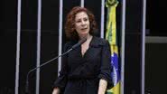Reprodução / Câmara do Deputados