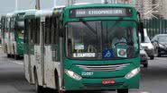 Rodrigo Vieira | Ônibus Brasil