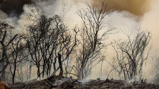 Marcello Camargo / Agência Brasil