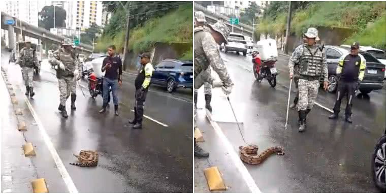 Reprodução/Guarda Civil Municipal