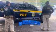 Divulgação/PRF