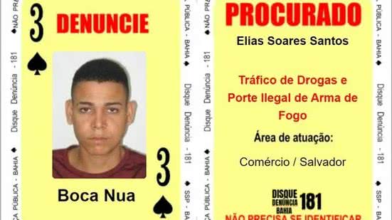 Divulgação