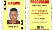 Divulgação