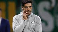 Cesar Greco/Palmeiras