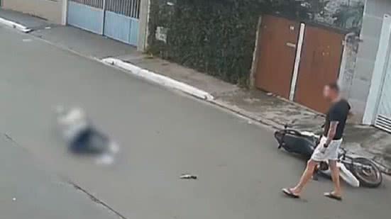Reprodução