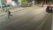 Reprodução/Vídeo