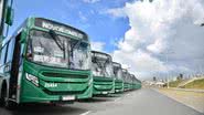 Betto Jr | Secom