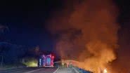 Reprodução/Radar News