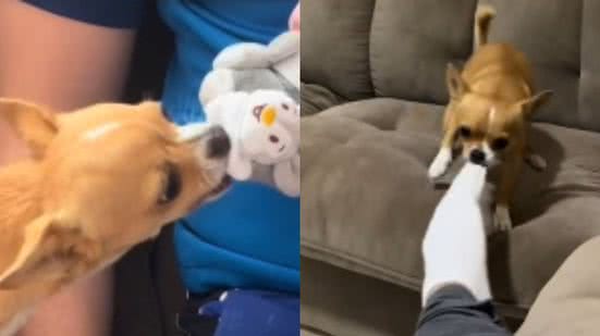 Reprodução// TikTok @raquelzinha_nascimento