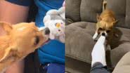 Reprodução// TikTok @raquelzinha_nascimento