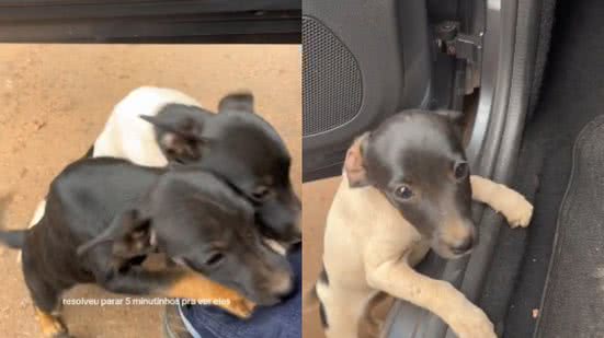 Reprodução// TikTok @giovanamidori