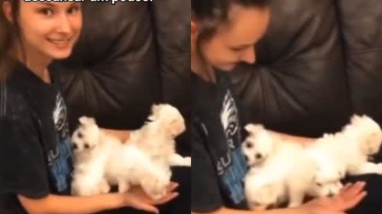 Reprodução/TikTok @sra.midnight0.2