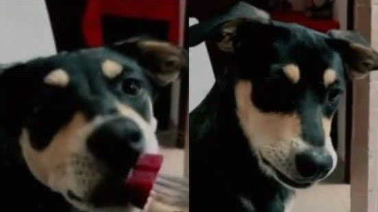 Reprodução// TikTok @tatasampaaio