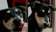 Reprodução// TikTok @tatasampaaio