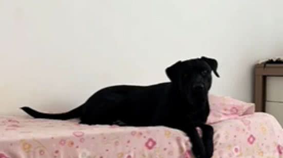 Reprodução// TikTok @marianajatahy1