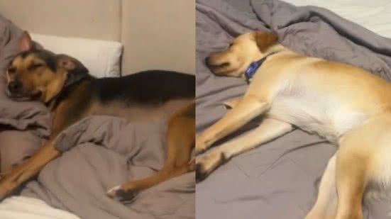Reprodução// TikTok @marianablyra