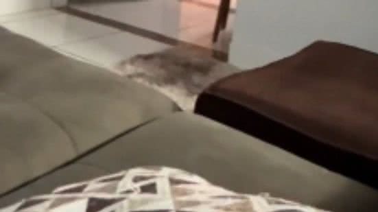 Reprodução// TikTok @phbabos