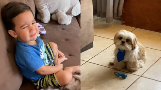 Reprodução/ TikTok @angelamultiimagem
