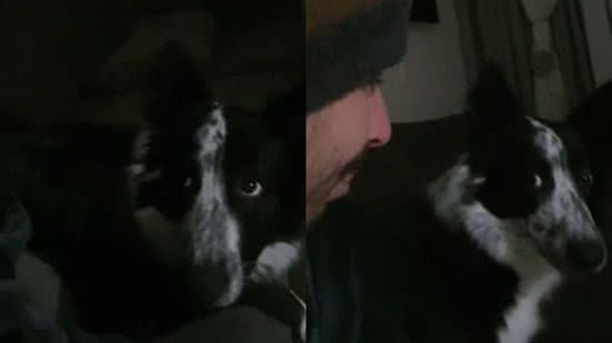 Reprodução/ TikTok @lessie..e..filo
