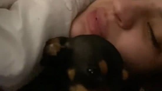 Reprodução// TikTok @vidaschevi