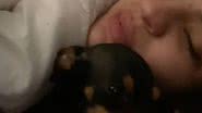 Reprodução// TikTok @vidaschevi