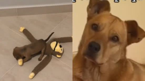 Reprodução/ TikTok @agathaarauujo